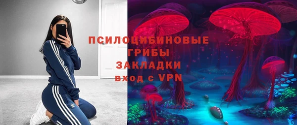 ECSTASY Лиски