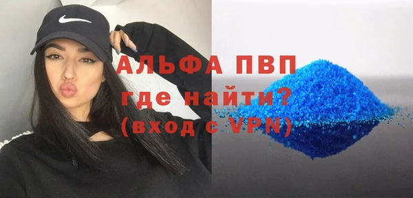 твердый Магас