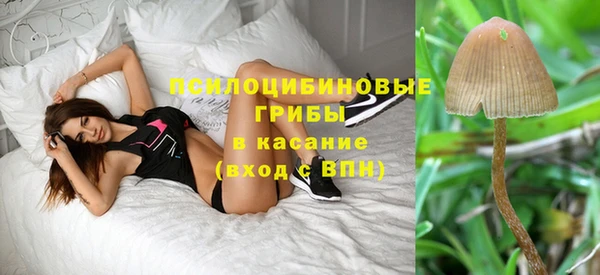 ECSTASY Лиски