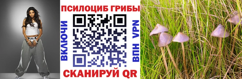 Псилоцибиновые грибы Magic Shrooms  Тотьма 